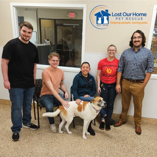 Phoenix office pet shelter volunteer