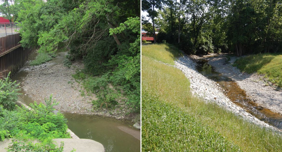 Turtle Creek Channel and Floodplain Restoration