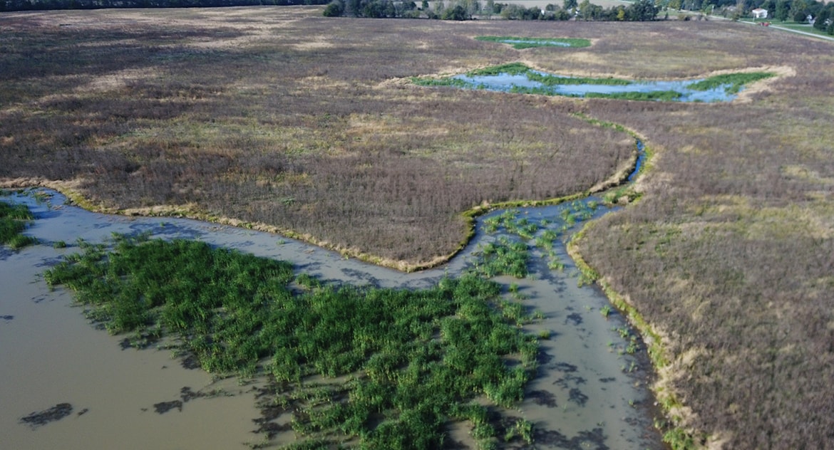 Prairie Oaks Wet Prairie Restoration | Burgess & Niple